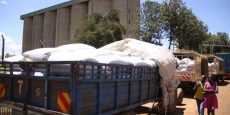 Only one month maize cover left as State yet to pay millers Sh4bn