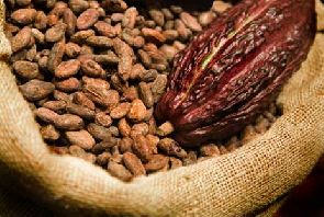 Cocoa workers urged to be ambassadors of cocoa consumption