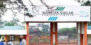 Mumias sugar company Troubled Mumias Sugar Company faces auction