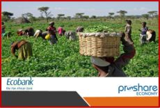 Ecobank Nigeria Extends its Agric Loan to 70,000 Farmers; Promotes Entrepreneurship