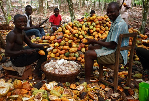 Cocobod, AfDB and partners mark first $200m to boost cocoa production