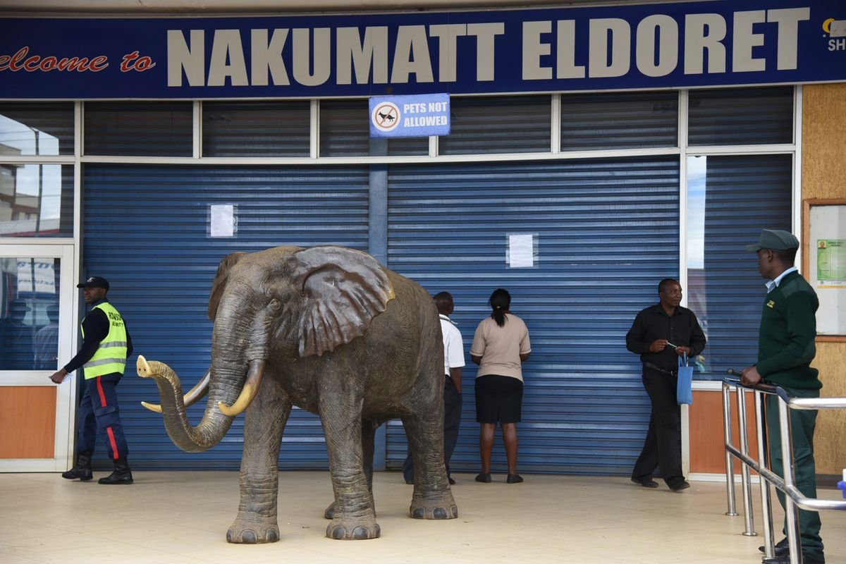 Nakumatt death: The giant elephant in the room