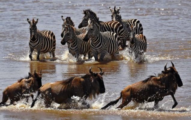 Tourism dips amid Kenya, Dar row