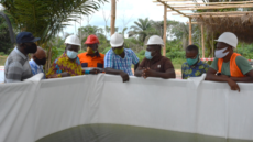 Anglogold Ashanti Iduapriem Mine to create sustainable income through aquaculture project