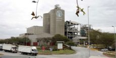 Regional cement exports fall 68 percent