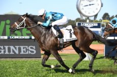 Dulcify winner has Group 1 at his mercy