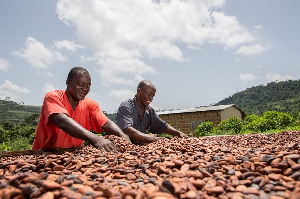 COCOBOD to inject US$200 million towards domestic cocoa processing