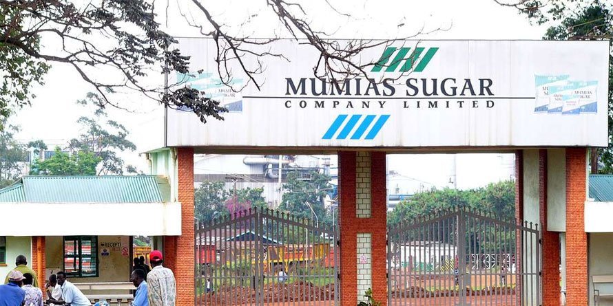 Mumias yet to start operation after one year on receivership