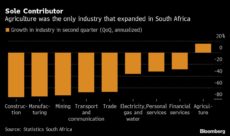 Awaiting South African Bailout, Land Bank Locks Out Farmers