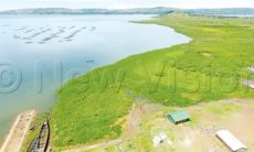 Comprehensive floating island solution in offing