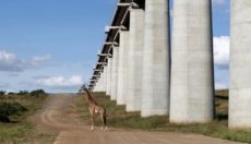 AfCFTA will boost Kenya cement demand – Bamburi CEO