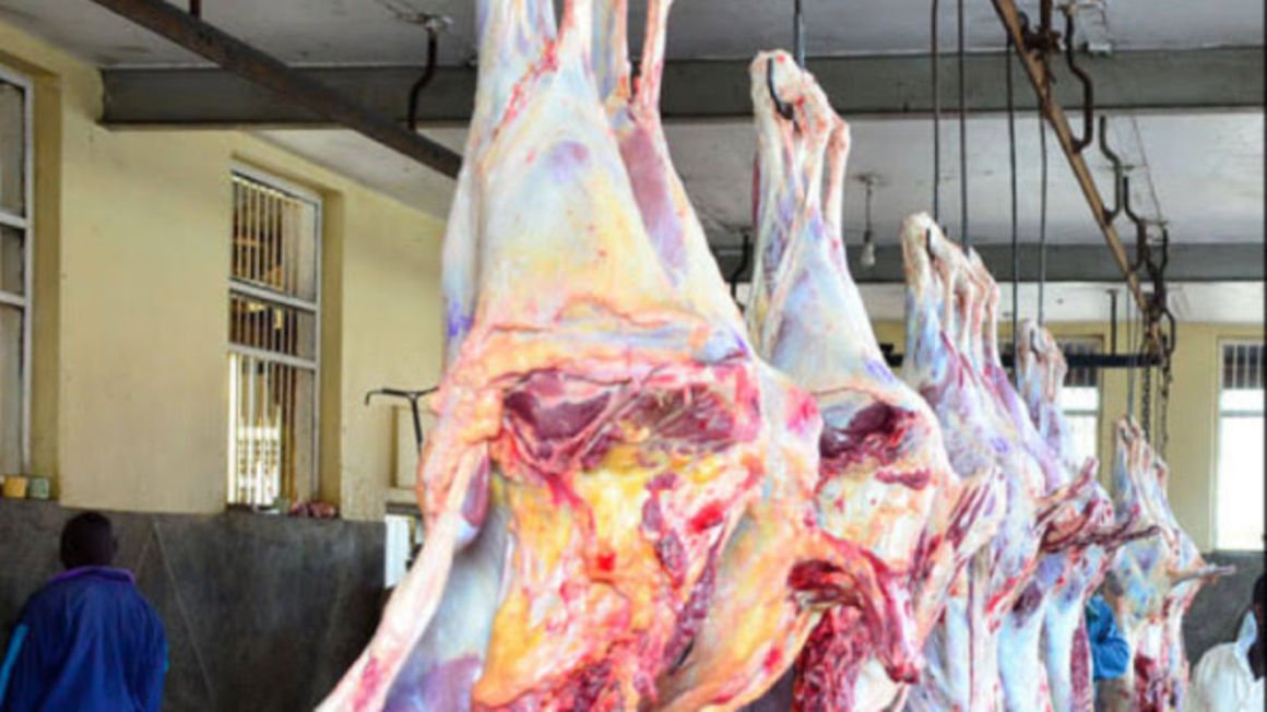 Mbarara abattoir will need 150 heads of cattle per day