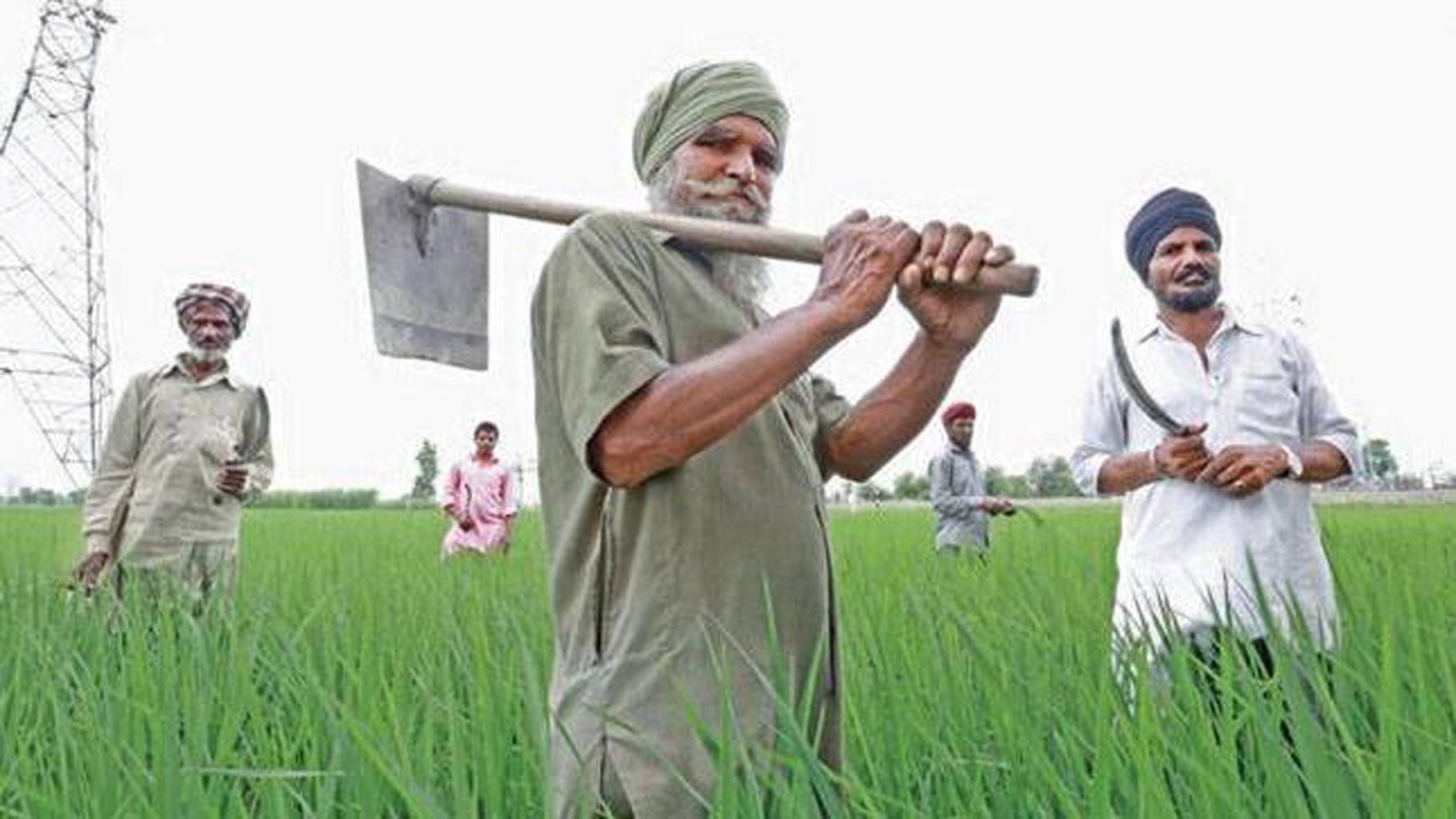 Big Relief to Farmers! Government Waived Interest of Rs 61.49 Crore Benefitting 69000 Farmers