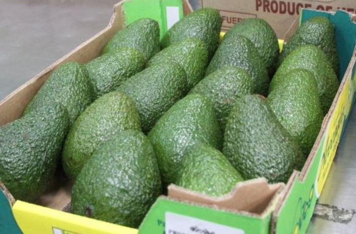 Kenyan fresh produce exporters seek better deals amid Brexit fears