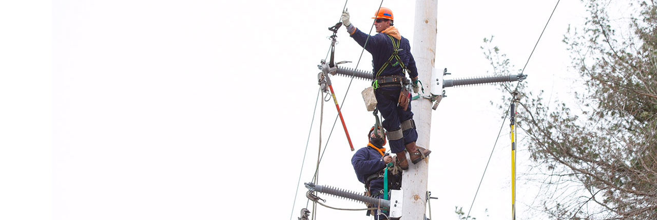 Governor Cuomo Announces Long Island Power Authority Has Filed Claim Against PSEG Long Island for Failed Tropical Storm Isaias Response