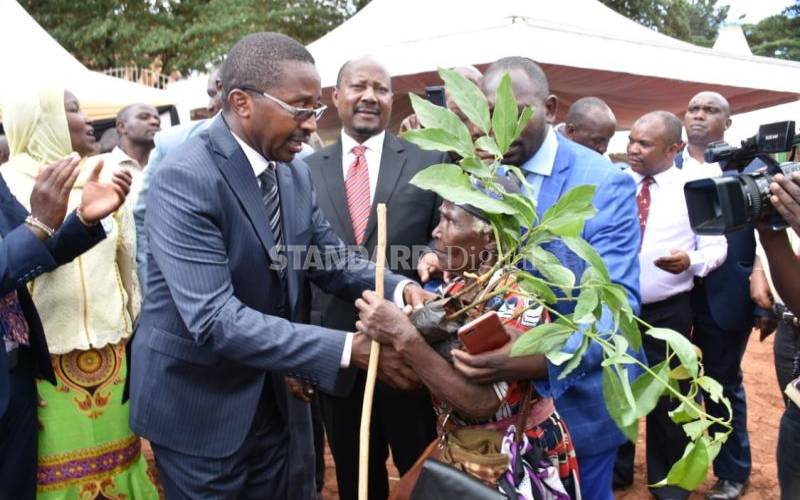 Why avocado is ‘gold’ for Murang’a residents