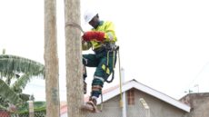 Counting cost of suspending electricity connection policy