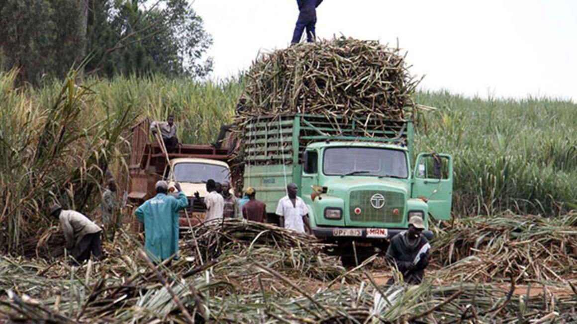Why Kenya made U-turn on Uganda sugar imports