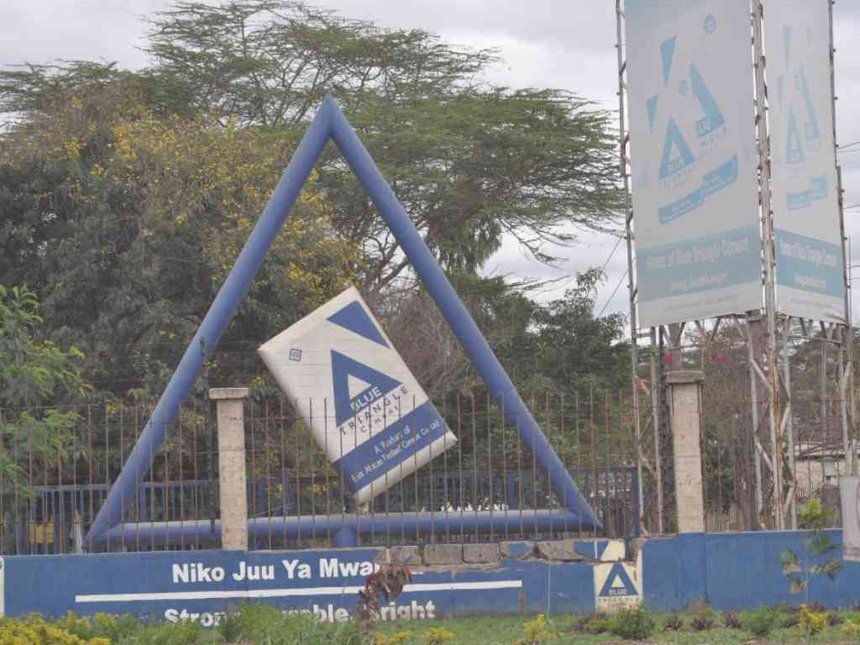 Intrigues Leading To The Sacking Of Portland Cement MD Stephen Nthei