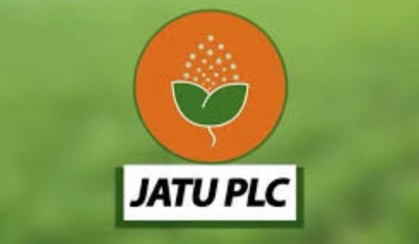 DSE: Jatu shares plummet 20% in one week