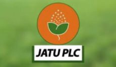 DSE: Jatu shares plummet 20% in one week