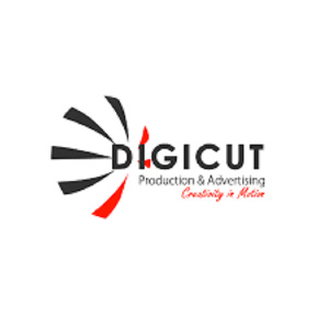 Digicut unveils its turnaround strategy