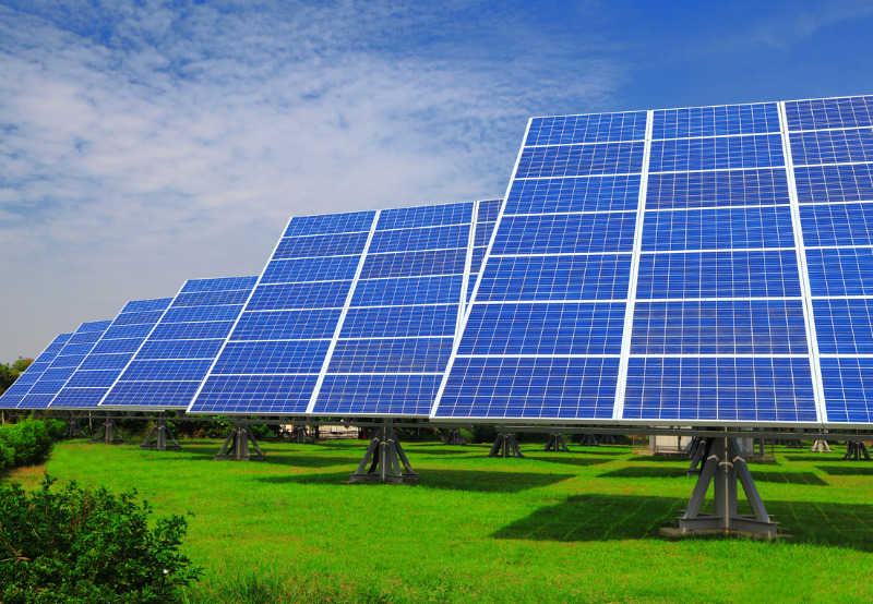 Kenya Tea Development Agency Invites Bids to Develop Solar Projects at its Factories