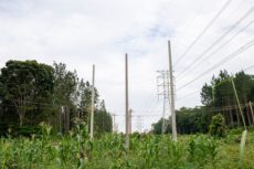 UETCL, Umeme in final lap to replace wooden poles in north