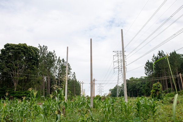 UETCL, Umeme in final lap to replace wooden poles in north