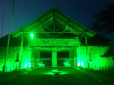 Masai Mara joins ‘Global Greening’ initiative to mark St Patrick’s Day