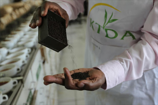 Smallholder tea farmers to own direct shareholding in KTDA