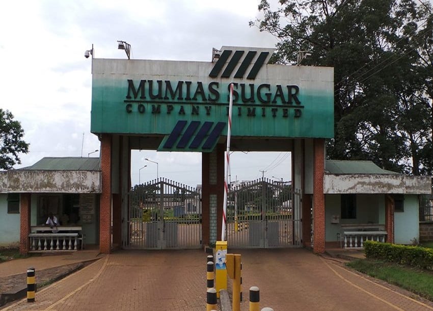 Devki Group drops bid to lease Mumias Sugar Company
