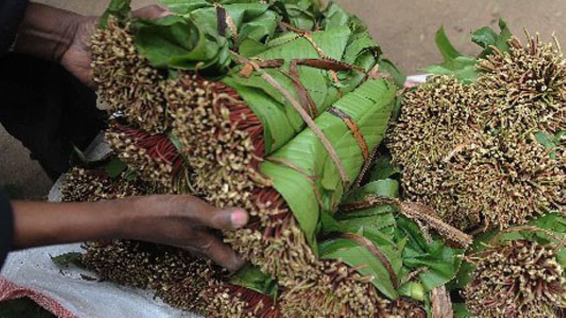 Kebs approves new code of conduct for miraa trade