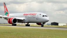 KQ adds flights to Europe as summer demand shoots up