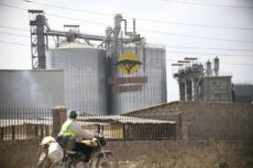 State risks losing Sh375m in Savannah Cement levy row