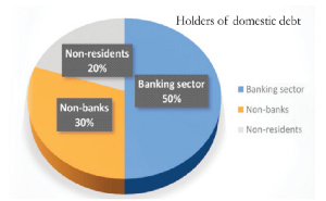 Banking sector holds 50% of governments domestic debt