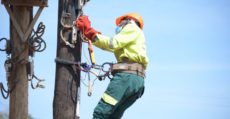 Umeme Consumes 90,000 Electricity Poles Annually