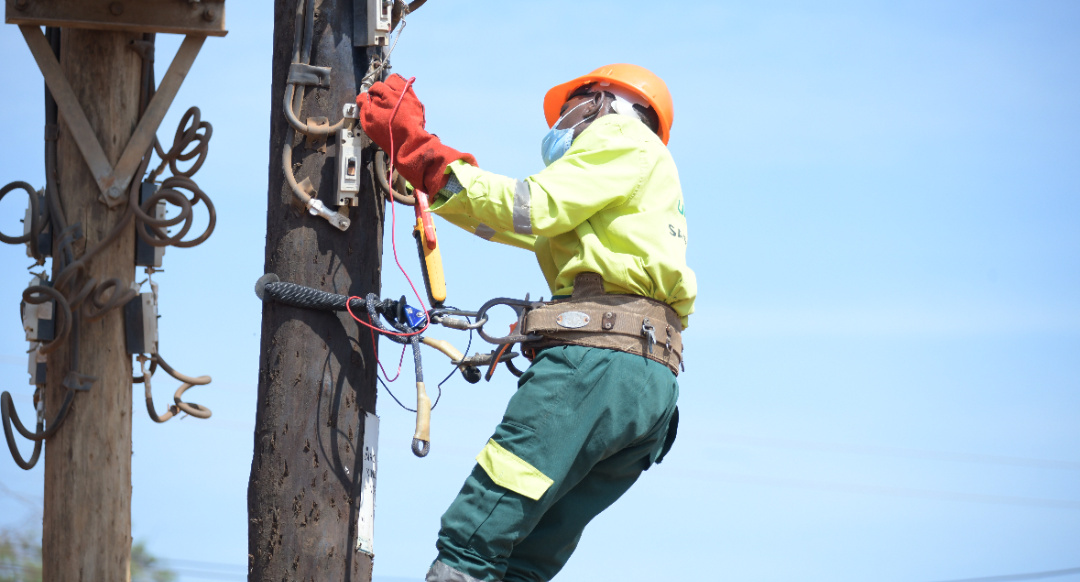 Umeme consumes 90,000 electricity poles annually