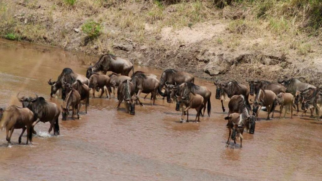 Maasai Mara airstrip set to undergo Sh4.7bn upgrade