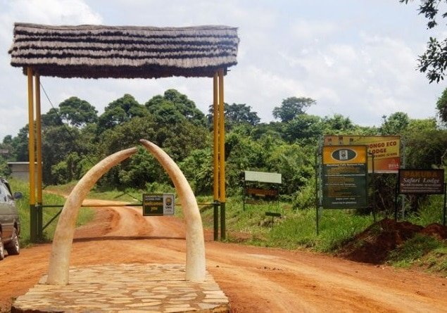 Uganda National Parks Visits Easier for Tourists