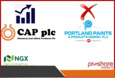 Chemical and Allied Products Plc Lists 88.25m Additional Shares; NGX Delists Portland Paints