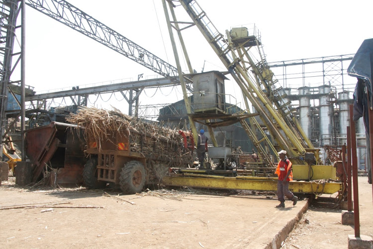 Private millers boost Kenya's sugar production – survey