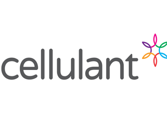Cellulant partners with Ecobank & KenTrade to enhance service delivery