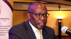 Kakuzi hires Githu Muigai to lead its human rights drive