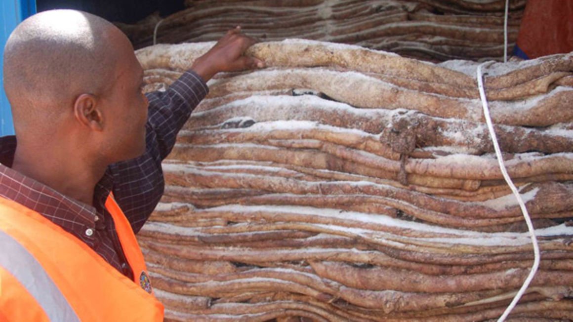 KRA seizes 25 export containers, spared Sh75m tax loss