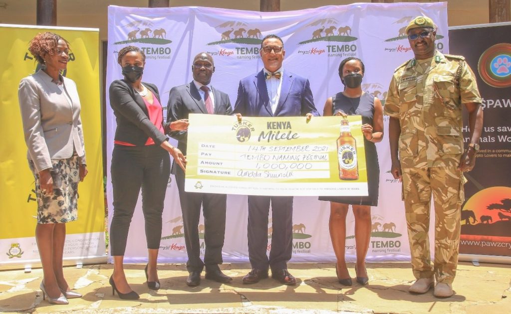 Tourism Ministry raises Ksh.10 million for elephant naming festival