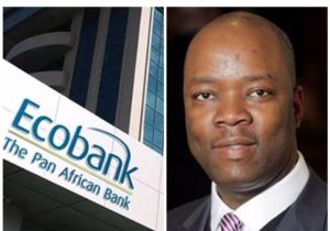 Facts on New Directors of Ecobank Nigeria