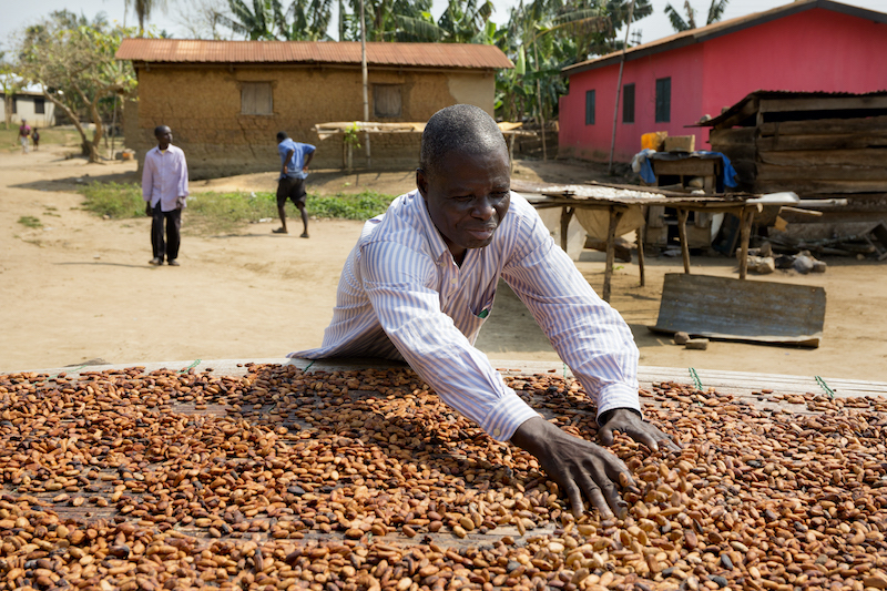 Ghana’s Cocoa Board signs key $1.5 billion finance agreement for farmer payment
