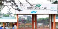 Investor offers Sh2.2bn to Mumias Sugar farmers