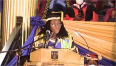 New Vice-Chancellor appeals to Akufo-Addo to help clear UG’s loans